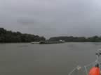 Phew! We are not alone on this foolish running river Saone